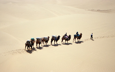 Ostasien, China: Seidenstrae - durch Gobi und Taklamakan - Kamele in der Taklamakan